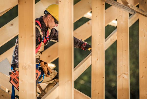 Verbände der Holzindustrie aus Deutschland, Österreich und der Schweiz: Green Deal 2.0 mit Holz