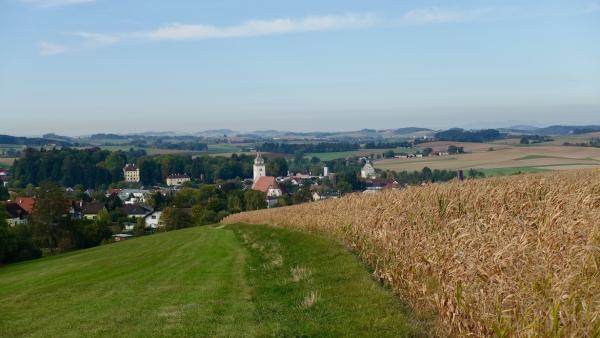 Rasanter Anstieg der Zersiedelung in Österreich: Stark zersiedelte Flächen haben sich seit 1975 verfünffacht.