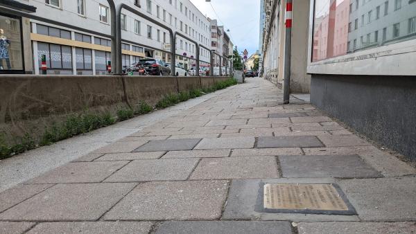 Steine des Gedenkens an die Opfer der Shoah