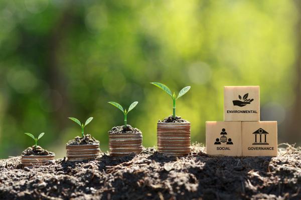 Seminar: EU-Taxonomie strategisch nutzen  