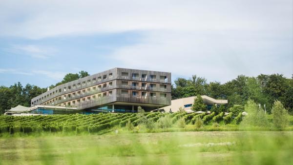 SORAVIA setzt Expansionskurs fort: Partnerschaft mit Limestone Capital für LOISIUM Wine & Spa Hotels