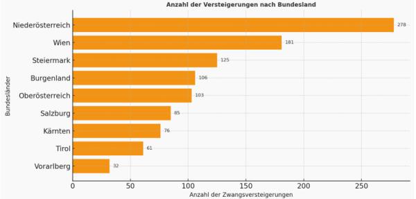 Zwangsversteigerungen: Marktbericht 2024