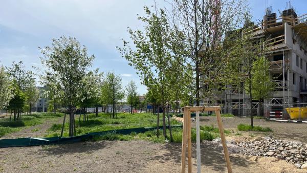 Von Bäumen bis zum Spielplatz: Bert-Brecht-Park im VILLAGE IM DRITTEN "gedeiht"