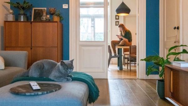 Ferienimmobilien im Trend, Mietpreise in Bewegung