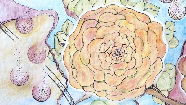 Die Kraft der Räume – September