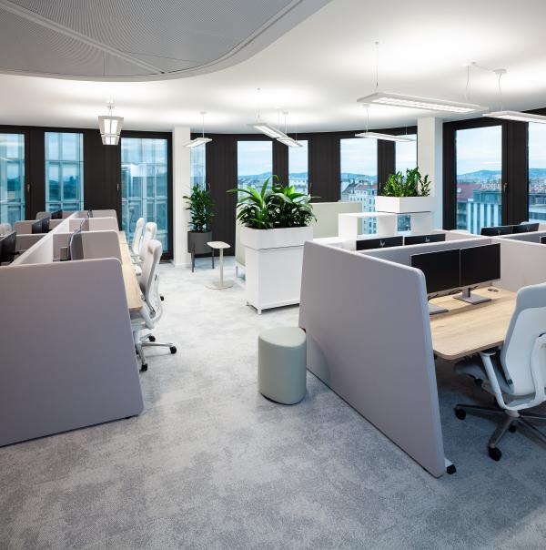 Green Office: Wie Bürowelten nachhaltig gestaltet und bewirtschaftet werden