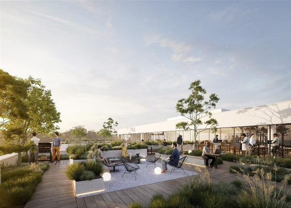 Biotop Büro: Mit Pflanzen gegen schlechte Laune und Krankheiten