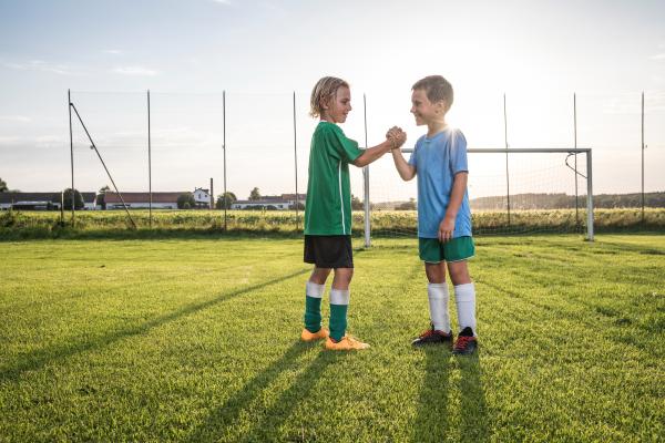 "I wer narrisch!" - Zur Ausschreibung für die Errichtung eines Daches für das Wiener Ernst-Happel-Stadion